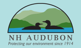 Screen Shot 2016-04-14 at 8.39.57 AM