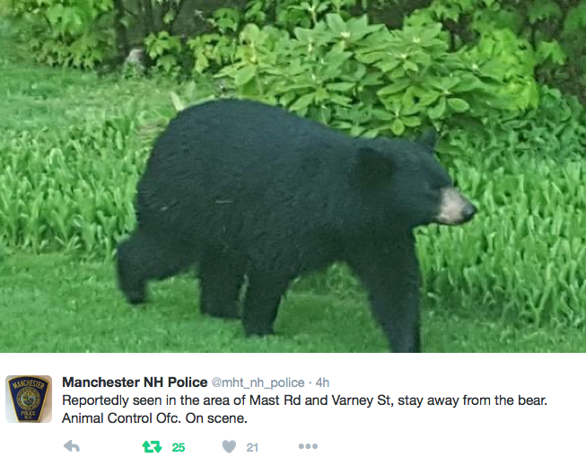 Manchester Police Tweeted this photo Friday morning.