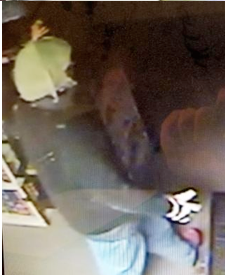 Man caught on film inside Wildlife Taxidermy.