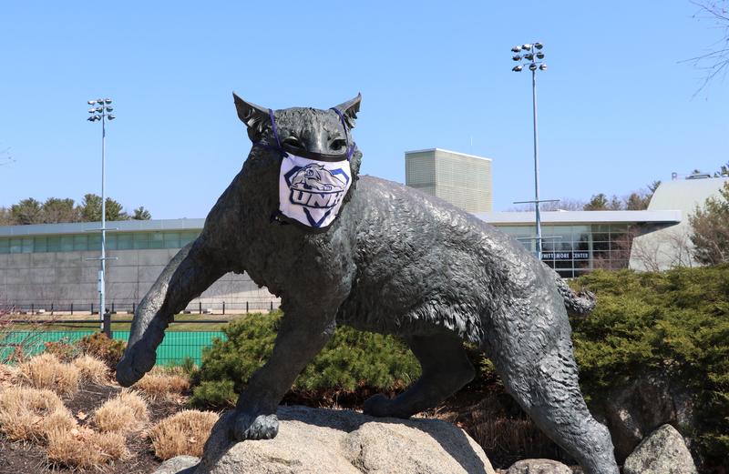 UNH Wildcats