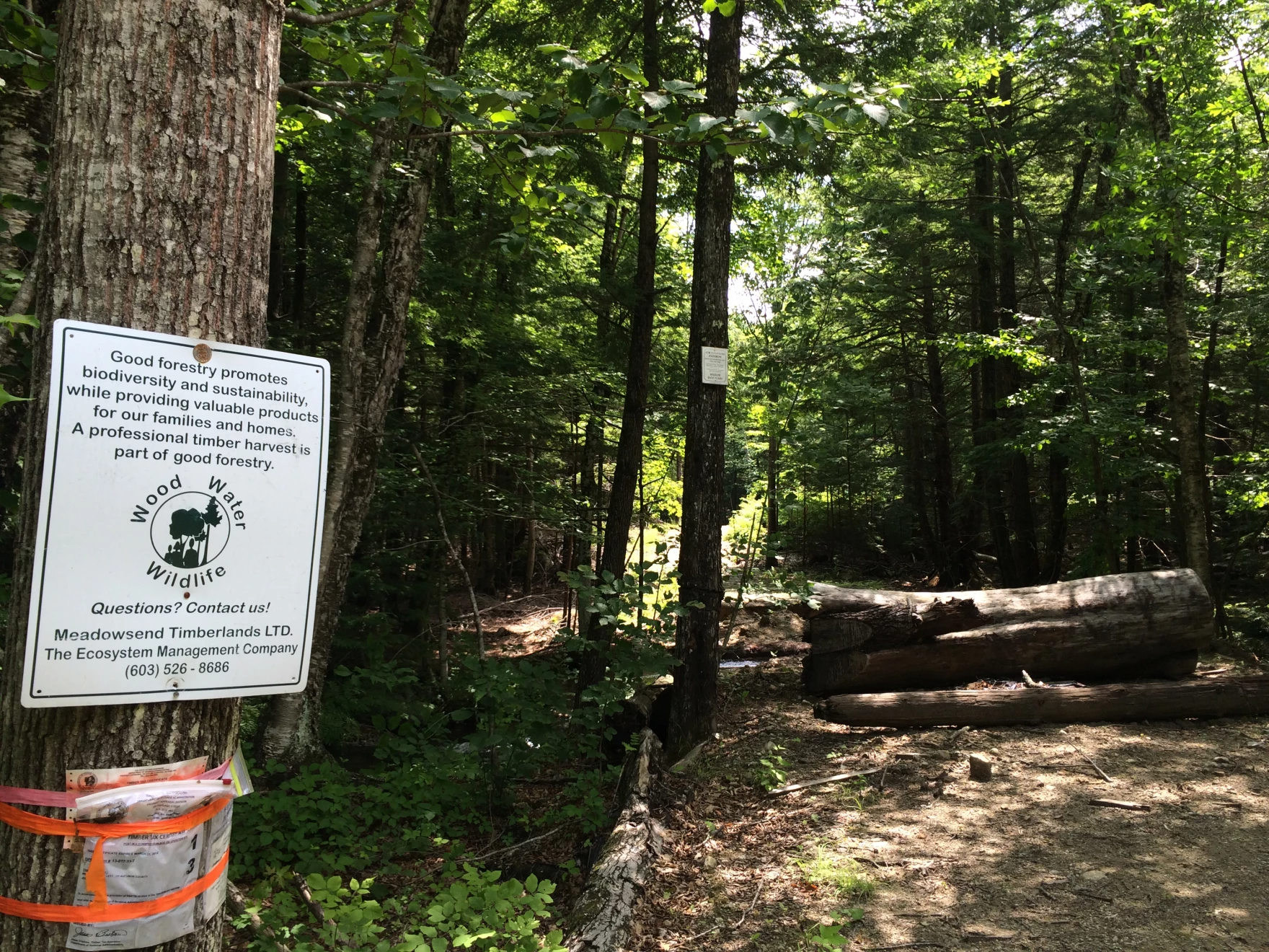 The governor proposed repealing 34 professional licenses, including foresters.