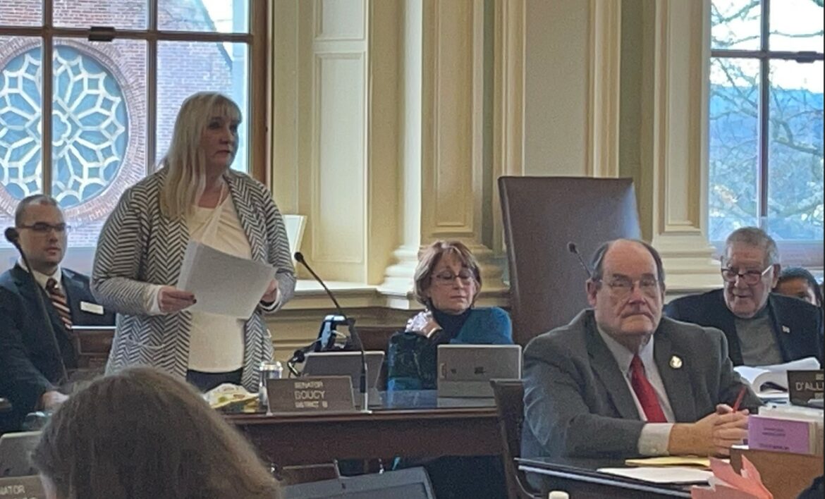 State Sen. Donna Soucy, D-Manchester, speaks Wednesday in the Senate.