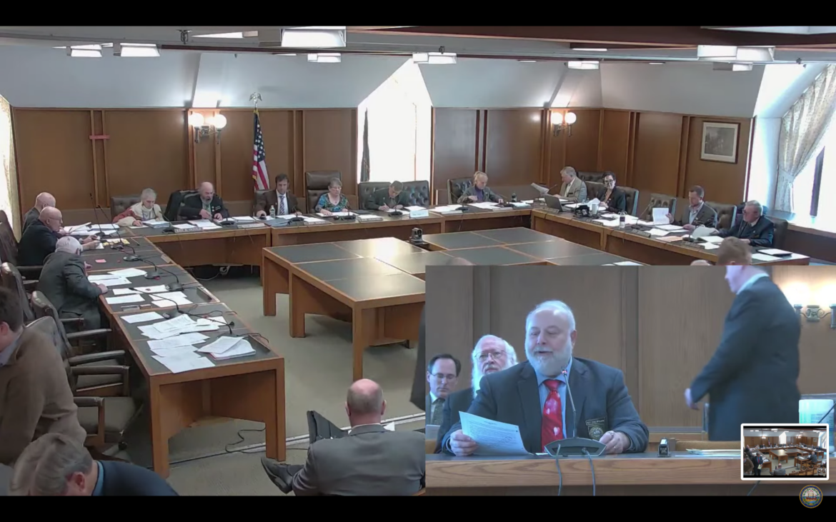 Rep. Dan McGuire, R-Epsom, pitches House Bill 559 to establish a defined contribution retirement system for new state employees to the House Executive Departments and Administration Committee Wednesday in this screen shot.