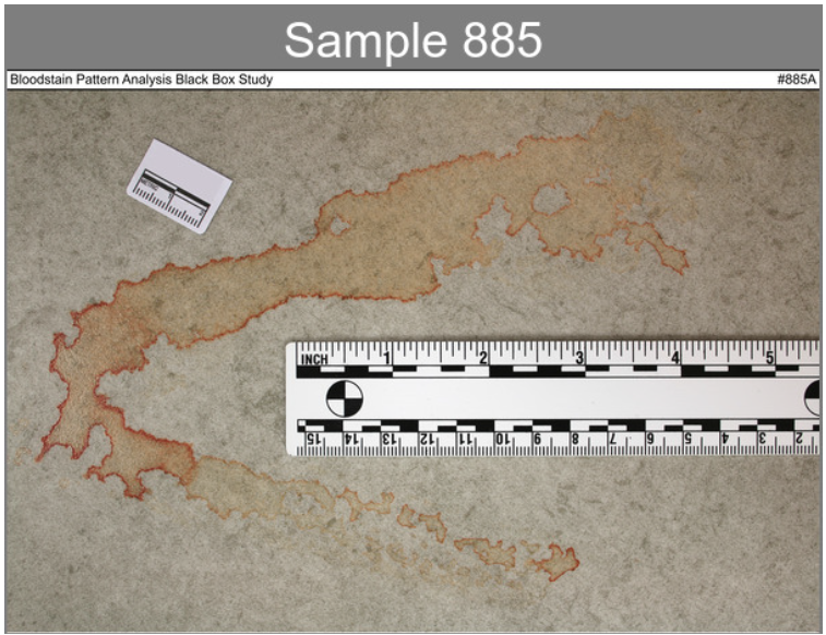 blood evidence photo