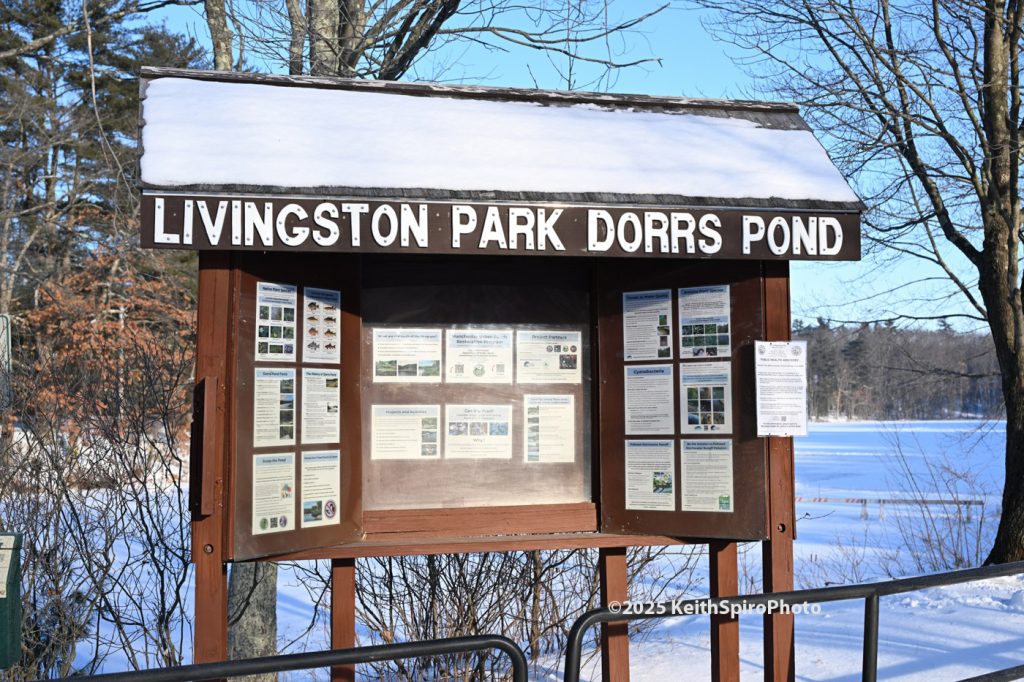 Winter skating at Dorrs Pond 