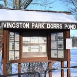 Dorrs Pond at Livingston park photo by keith spiro