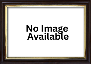 Bradley Conway: Ward 12 Alderman candidate