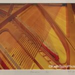 jazz fans piano image