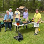 Ready, set, garden: Derry Garden Club plant sale, June 6