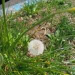 The Urban Hippie: What does meditation look like to you?