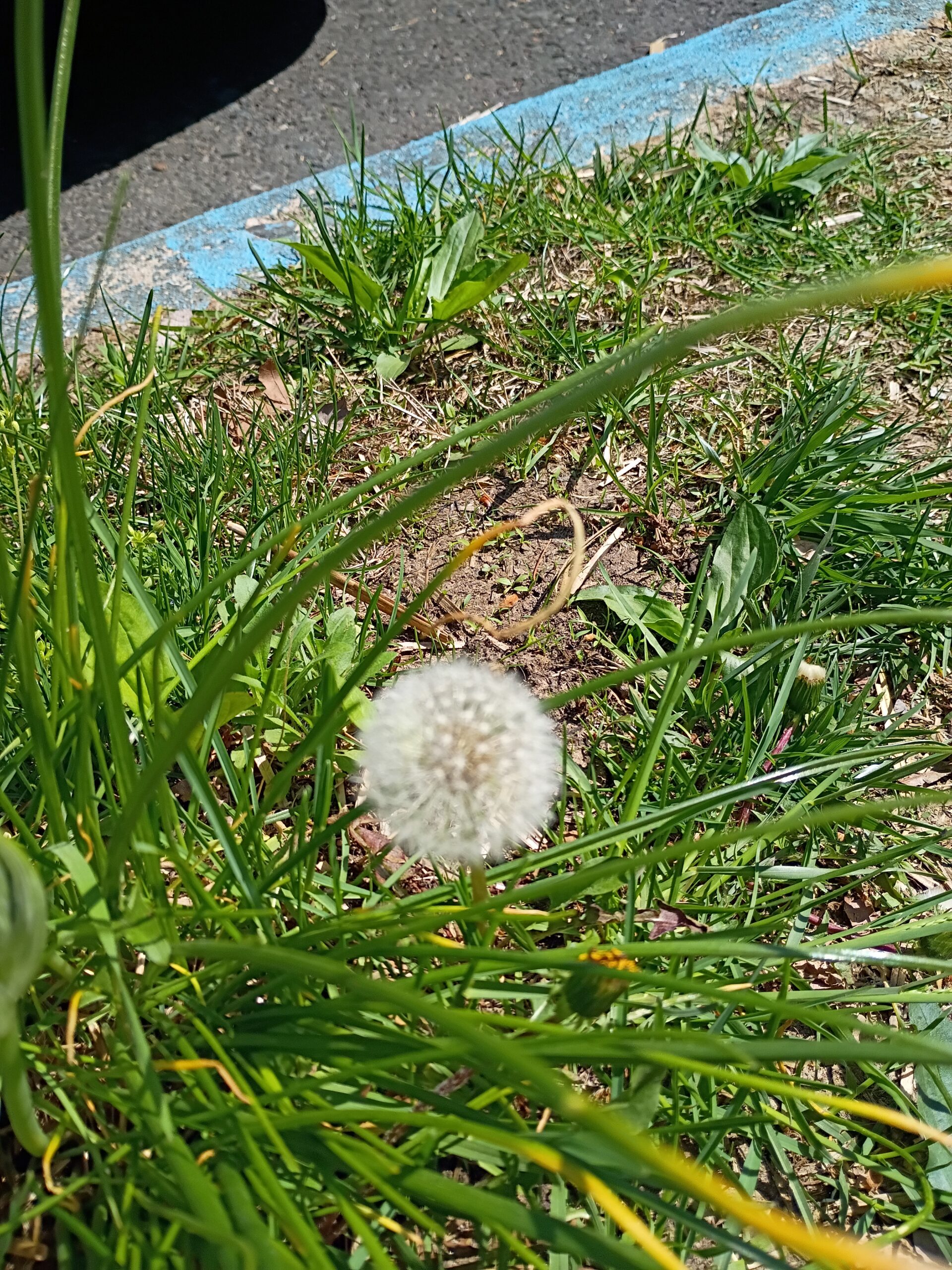 The Urban Hippie: What does meditation look like to you?