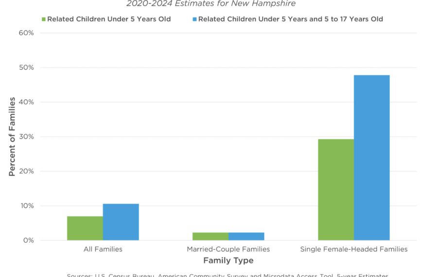 Recognizing New Hampshire mothers through data