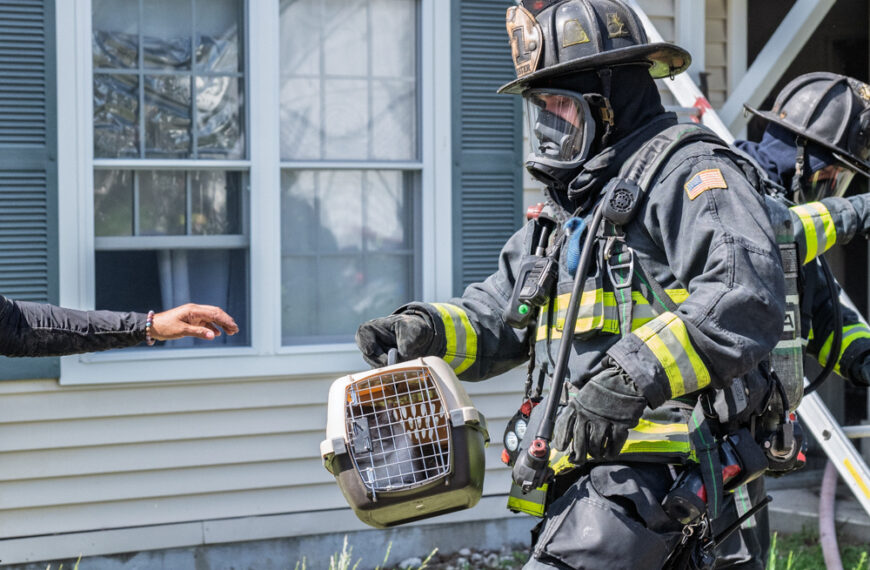 Cat rescued from Falls Ave. fire