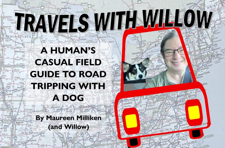 A road trip with a dog works best if you use the dog’s point of view